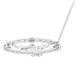 Edwardian Floral Diamond Brooch in Platinum open