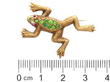 Ruler with Victorian Garnet Frog Brooch in Yellow Gold
