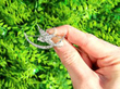 Victorian swallow brooch outside