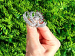 Vintage Floral Diamond and Ruby Brooch outside
