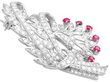 Vintage Floral Diamond and Ruby Brooch in platinum