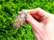Scarab Beetle Brooch with Gemstones in Natrual light