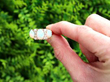 Antique Victorian Opal & Old Cut Diamond 18ct Gold Ring outside