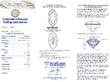 Antique Diamond and Sapphire Bracelet certificate