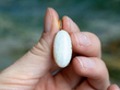 7.34 Carat Cabochon Opal Pendant