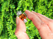 Citrine and Diamond Charm as Beer Stein Outside