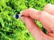 Oval Sapphire Ring with Diamond Shoulders outside