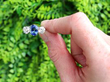 Cushion Cut Sapphire Trilogy Ring in Platinum outside