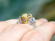 wearing Yellow Diamond Engagement Ring