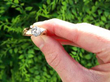 Vintage Unisex Gold Solitaire Engagement Ring outside