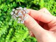 Sheath Swirl Diamond Brooch outside