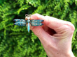 Antique Opal and Enamel Dragonfly Brooch