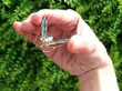 Antique Opal and Enamel Dragonfly Brooch