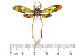 Pearl and Enamel Dragonfly Brooch in Gold size