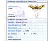 Pearl and Enamel Dragonfly Brooch in Gold grading card