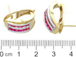 Ruby and Diamond Earrings in Yellow Gold size