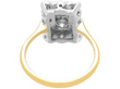 Antique Rectangular Multi Diamond Dress Ring back
