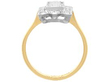 Antique Rectangular Multi Diamond Dress Ring setting