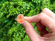 Antique Carved Agate Intaglio Ring in Gold outside