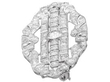 Platinum Antique Diamond Brooch side