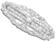 Antique Diamond Brooch
