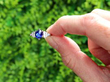 Antique Cabochon Sapphire and Diamond Ring outside