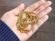 antique Victorian Gold Chain Necklace