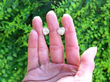 Heart Diamond Stud Earrings outside