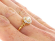 Victorian Pearl Cluster Ring in Gold on hand