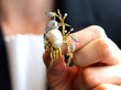 Blister Pearl Bird Brooch in Gold
