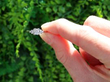 Old European Cut Art Deco Solitaire Ring outside