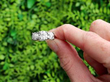 4.5 Carat Diamond Trilogy Ring in Platinum outside