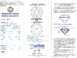 Platinum Diamond Brooch certificate