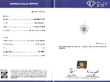 Heart Sapphire Pendant Necklace Grading Certificate