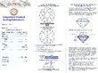 Elegant Circular Diamond Pendant certificate