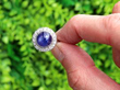 Antique Star Sapphire Cluster Ring outside