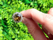 Platinum Zircon and Diamond Cluster Ring outside