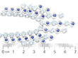 Sapphire and Aquamarine Fringe Necklace in White Gold size