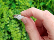 Vintage 1.2ct Diamond Solitaire with Diamond Shoulders outside