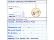Edwardian Amethyst Peridot and Pearl Pendant grading card