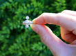 Vertical 3 Stone Diamond Ring outside
