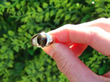Mens Gold Tigers Eye and Diamond Ring outside