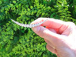 Graduated Diamond Crescent Brooch in Gold outside
