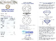 Graduated Diamond Crescent Brooch certificate