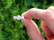 Trilogy Engagement Ring Platinum outside