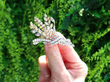 Yellow Diamond Spray Brooch outside