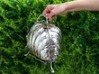 Victorian Folding Silver Biscuit Box Outside