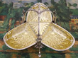 Victorian Folding Silver Biscuit Box Interior