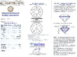 Platinum Two Stone Ring certificate