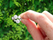 Diamond Crossover Cluster Ring in Platinum outside